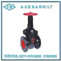  平行式双闸板闸阀 